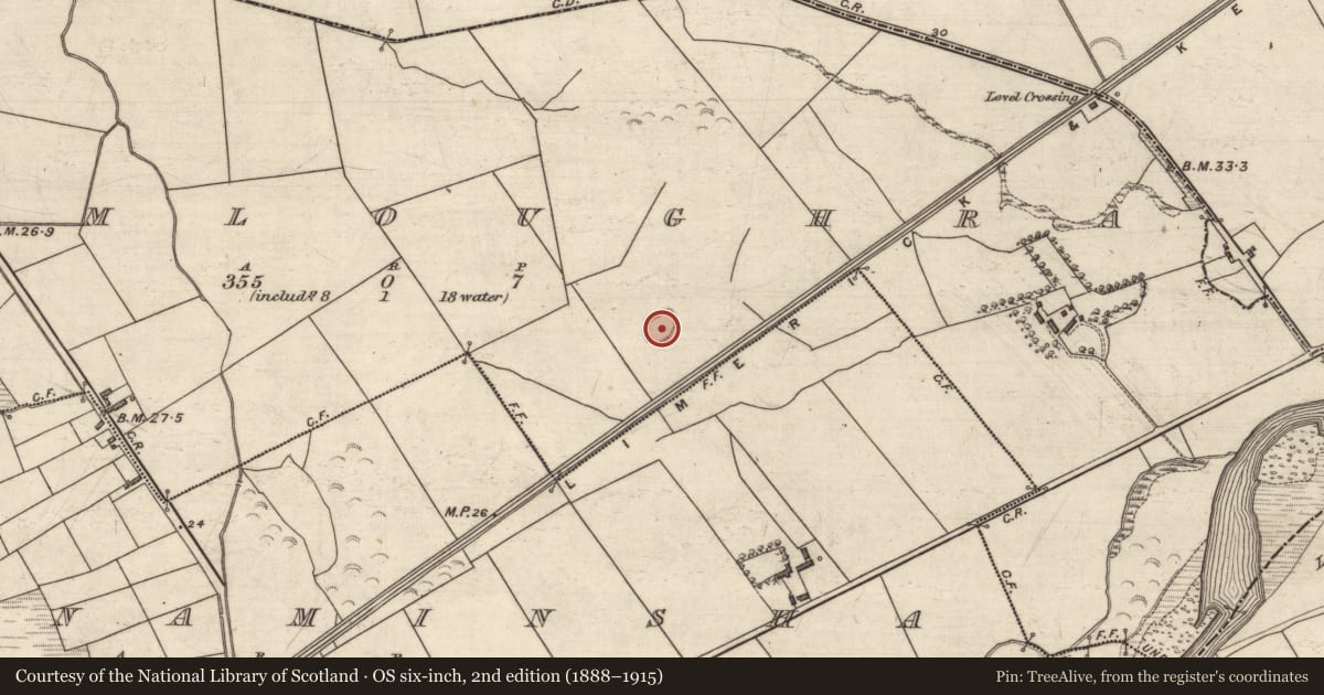 Ordnance Survey six-inch map, 2nd edition (1888–1915) covering the location of Ringfort - rath, Dromloughra, County Kerry, with a pin at the register's coordinates