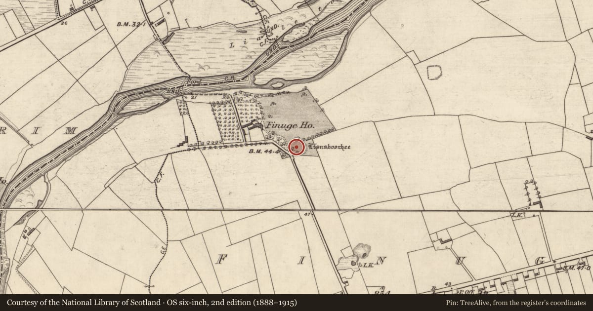 Ordnance Survey six-inch map, 2nd edition (1888–1915) covering the location of Ringfort - rath, Finuge, County Kerry, with a pin at the register's coordinates
