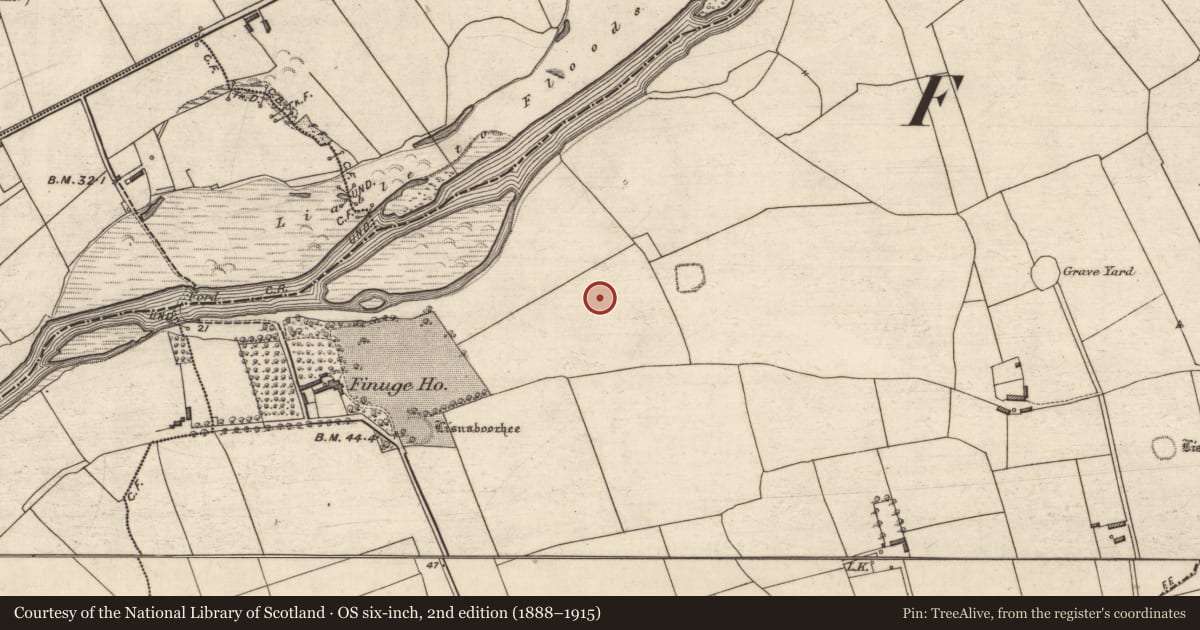 Ordnance Survey six-inch map, 2nd edition (1888–1915) covering the location of Ringfort - rath, Finuge, County Kerry, with a pin at the register's coordinates