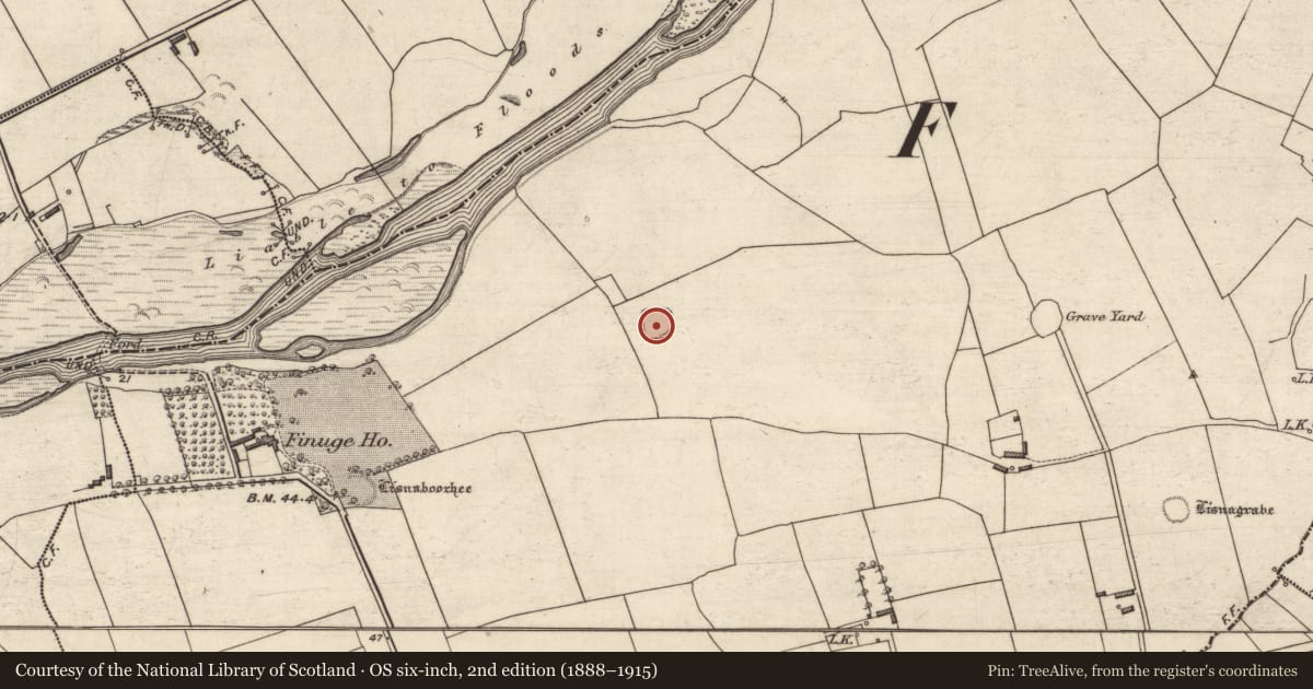 Ordnance Survey six-inch map, 2nd edition (1888–1915) covering the location of Moated site, Finuge, County Kerry, with a pin at the register's coordinates