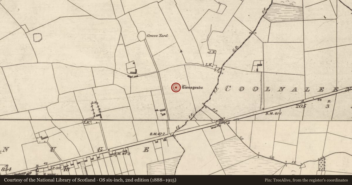 Ordnance Survey six-inch map, 2nd edition (1888–1915) covering the location of Ringfort - rath, Finuge, County Kerry, with a pin at the register's coordinates