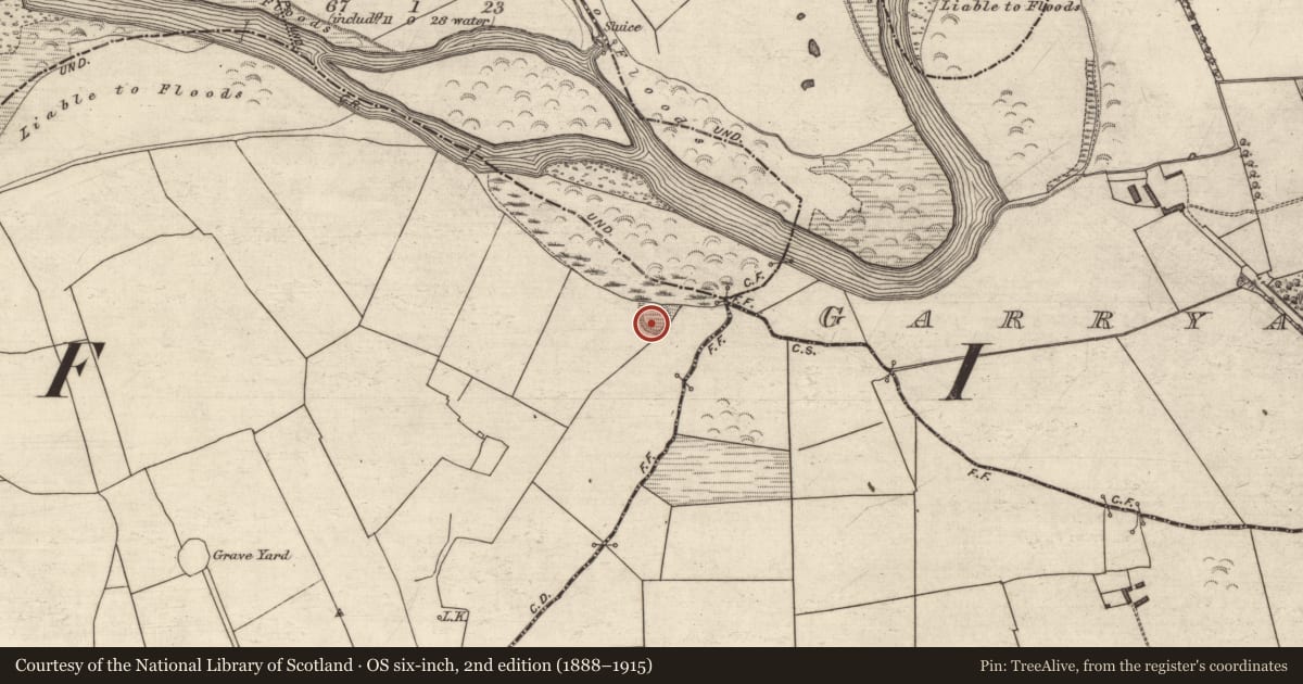 Ordnance Survey six-inch map, 2nd edition (1888–1915) covering the location of Ringfort - rath, Finuge, County Kerry, with a pin at the register's coordinates