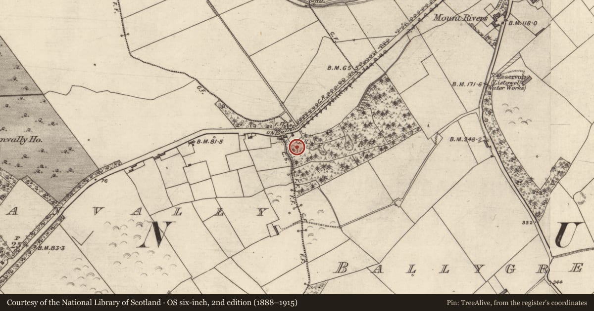 Ordnance Survey six-inch map, 2nd edition (1888–1915) covering the location of Mound, Ballygrenane, County Kerry, with a pin at the register's coordinates