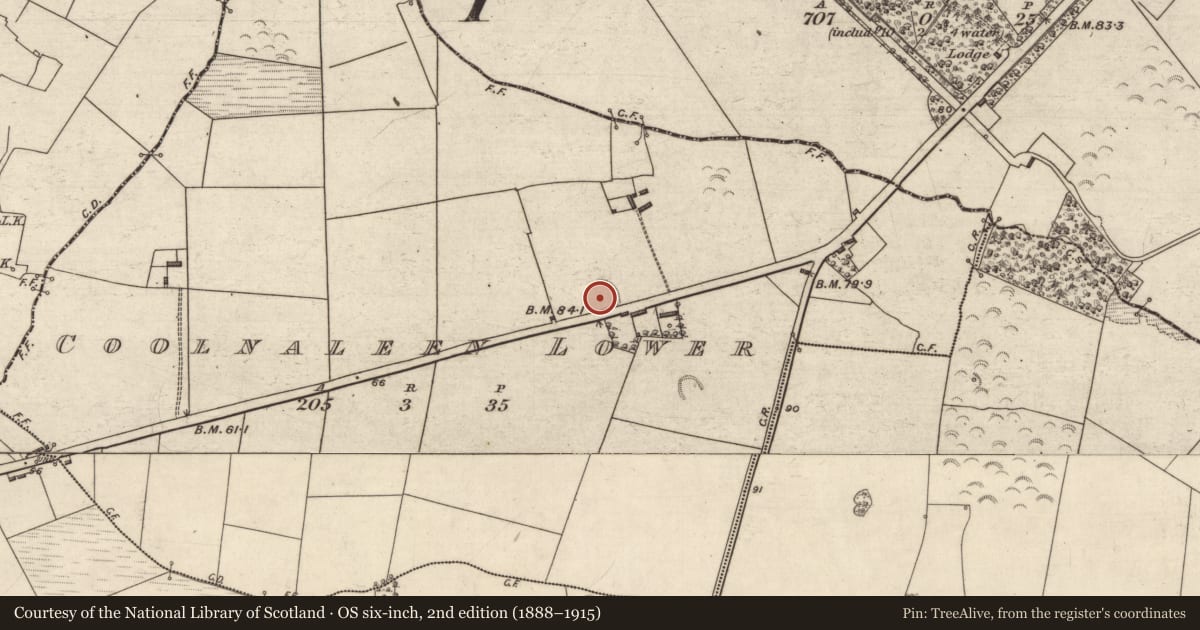 Ordnance Survey six-inch map, 2nd edition (1888–1915) covering the location of Fulacht fia, Coolnaleen Lower, County Kerry, with a pin at the register's coordinates