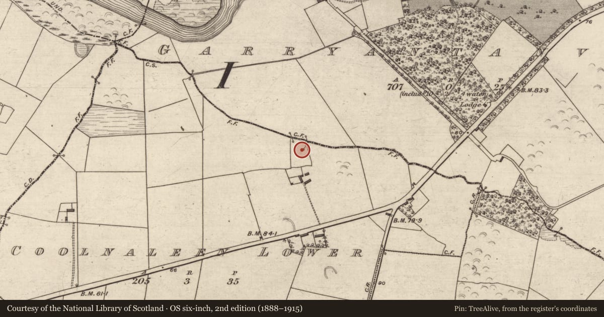 Ordnance Survey six-inch map, 2nd edition (1888–1915) covering the location of Ritual site - holy well, Coolnaleen Lower, County Kerry, with a pin at the register's coordinates
