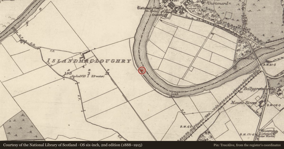 Ordnance Survey six-inch map, 2nd edition (1888–1915) covering the location of Weir - fish, Islandmacloughry, Listowel, County Kerry, with a pin at the register's coordinates