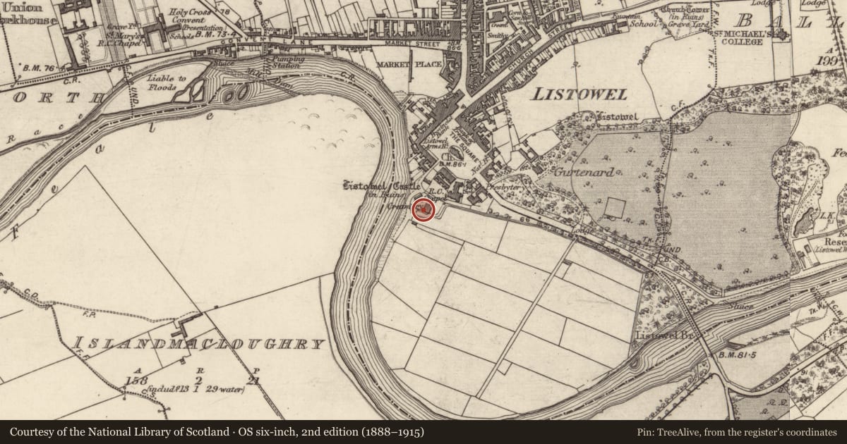 Ordnance Survey six-inch map, 2nd edition (1888–1915) covering the location of Water mill - unclassified, Listowel, County Kerry, with a pin at the register's coordinates