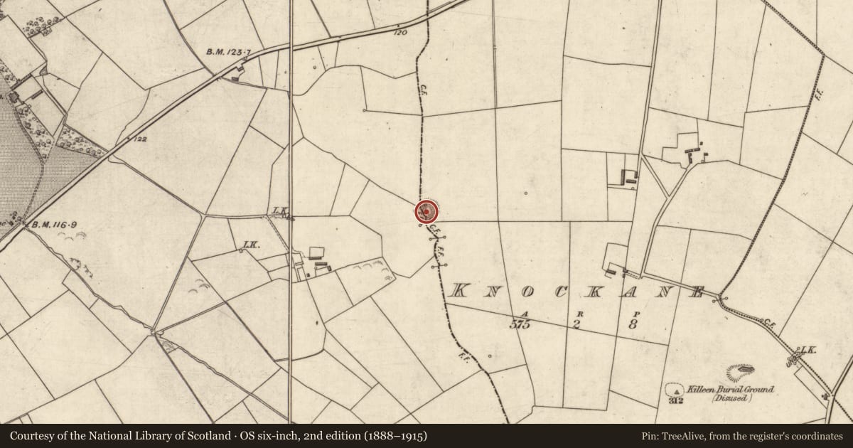 Ordnance Survey six-inch map, 2nd edition (1888–1915) covering the location of Ringfort - rath, Bedford, Knockane, County Kerry, with a pin at the register's coordinates