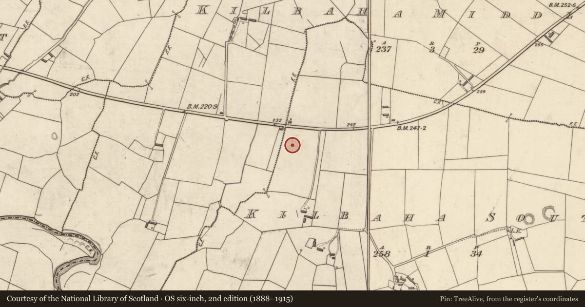 Ordnance Survey six-inch map, 2nd edition (1888–1915) covering the location of Children's burial ground, Kilbaha South, County Kerry, with a pin at the register's coordinates