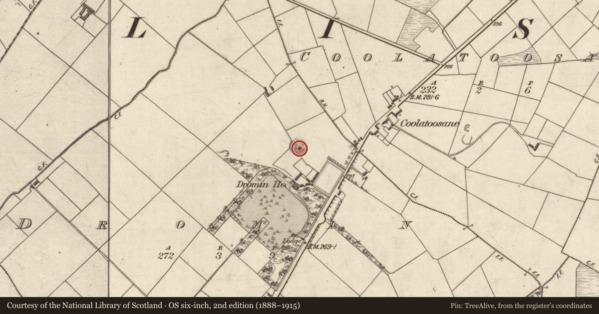 Ordnance Survey six-inch map, 2nd edition (1888–1915) covering the location of Ringfort - rath, Dromin, County Kerry, with a pin at the register's coordinates