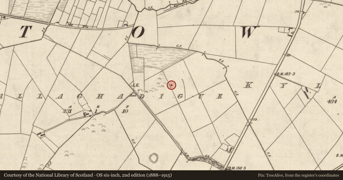 Ordnance Survey six-inch map, 2nd edition (1888–1915) covering the location of Enclosure, Ballaghadigue, County Kerry, with a pin at the register's coordinates