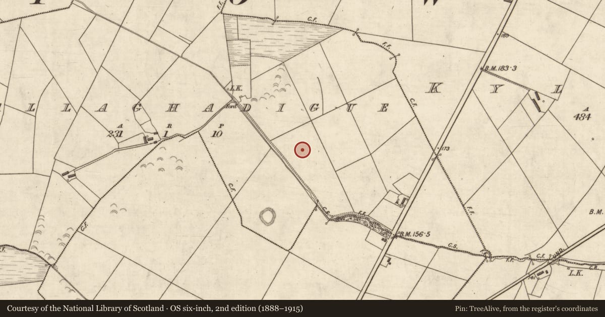 Ordnance Survey six-inch map, 2nd edition (1888–1915) covering the location of Fulacht fia, Ballaghadigue, County Kerry, with a pin at the register's coordinates
