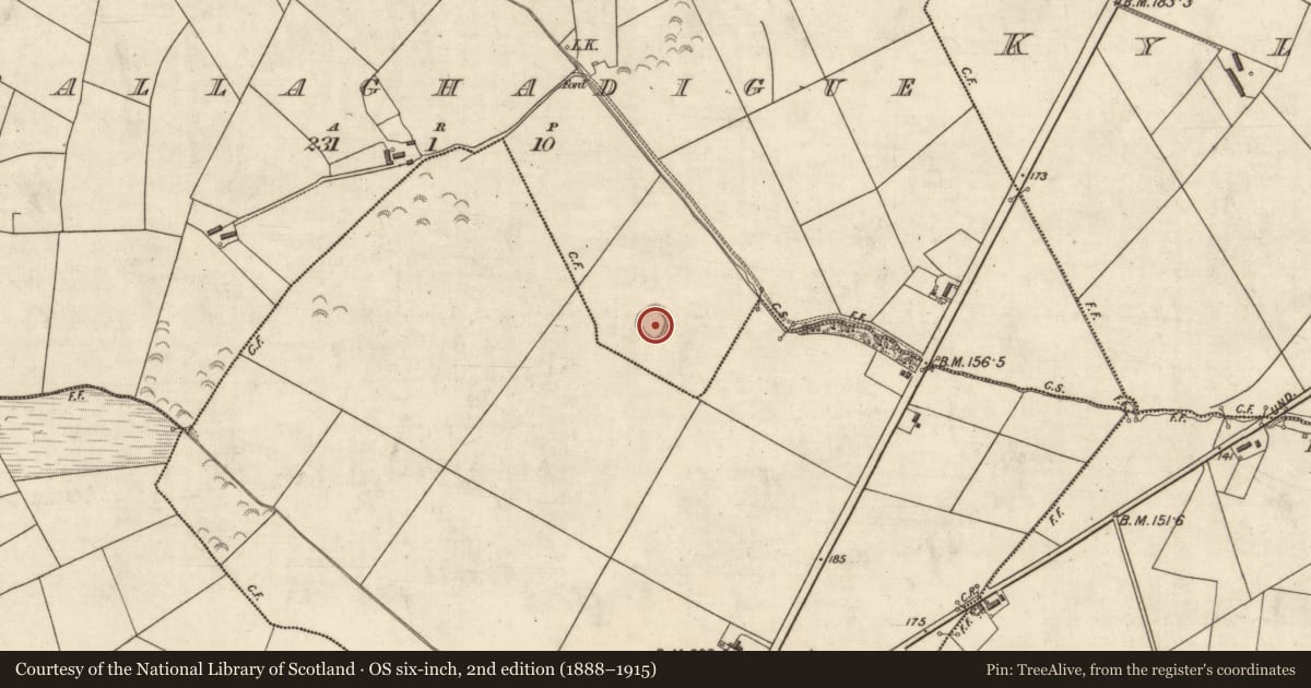 Ordnance Survey six-inch map, 2nd edition (1888–1915) covering the location of Ringfort - rath, Ballaghadigue, County Kerry, with a pin at the register's coordinates