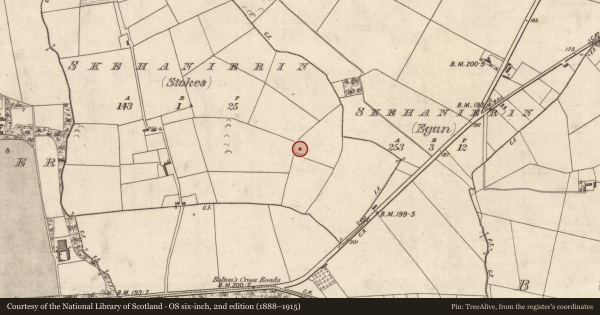 Ordnance Survey six-inch map, 2nd edition (1888–1915) covering the location of Ringfort - rath, Skehanierin (Stokes), County Kerry, with a pin at the register's coordinates