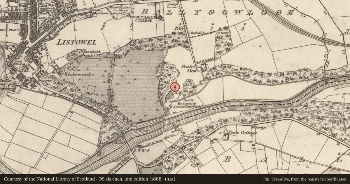 Ordnance Survey six-inch map, 2nd edition (1888–1915) covering the location of Ringfort - rath, Ballygowloge, County Kerry, with a pin at the register's coordinates