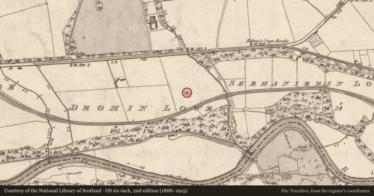 Ordnance Survey six-inch map, 2nd edition (1888–1915) covering the location of Ringfort - rath, Dromin Lower, County Kerry, with a pin at the register's coordinates