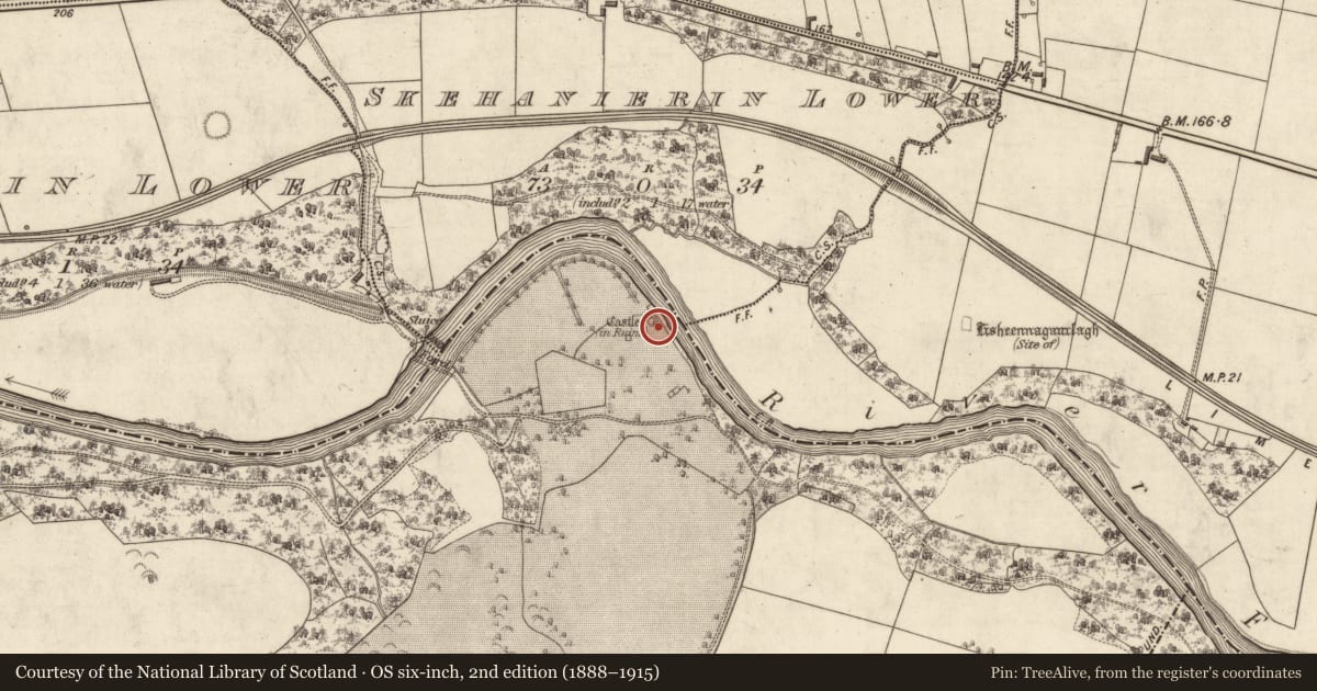 Ordnance Survey six-inch map, 2nd edition (1888–1915) covering the location of Castle - tower house, Ballinruddery, County Kerry, with a pin at the register's coordinates