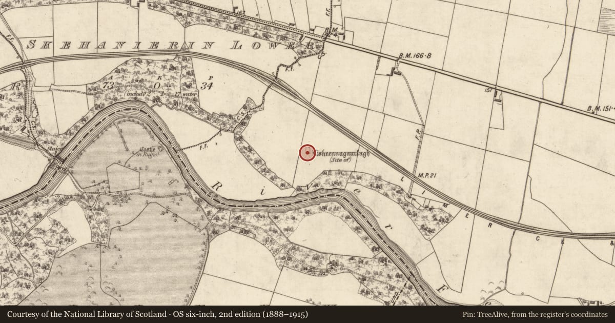 Ordnance Survey six-inch map, 2nd edition (1888–1915) covering the location of Ringfort - rath, Bunagarha, County Kerry, with a pin at the register's coordinates