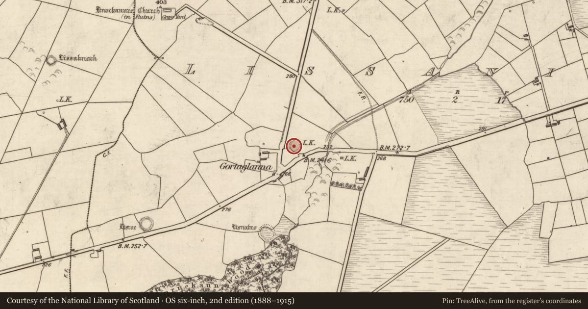Ordnance Survey six-inch map, 2nd edition (1888–1915) covering the location of Ringfort - rath, Lissaniska, County Kerry, with a pin at the register's coordinates