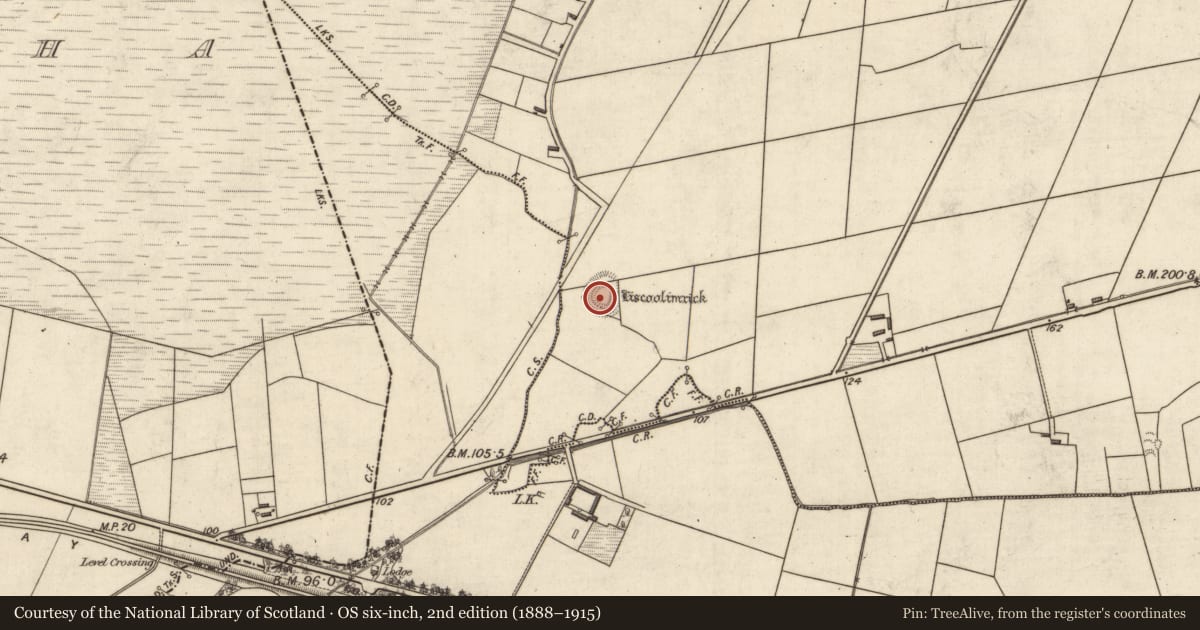 Ordnance Survey six-inch map, 2nd edition (1888–1915) covering the location of Ringfort - rath, Carhooearagh, County Kerry, with a pin at the register's coordinates