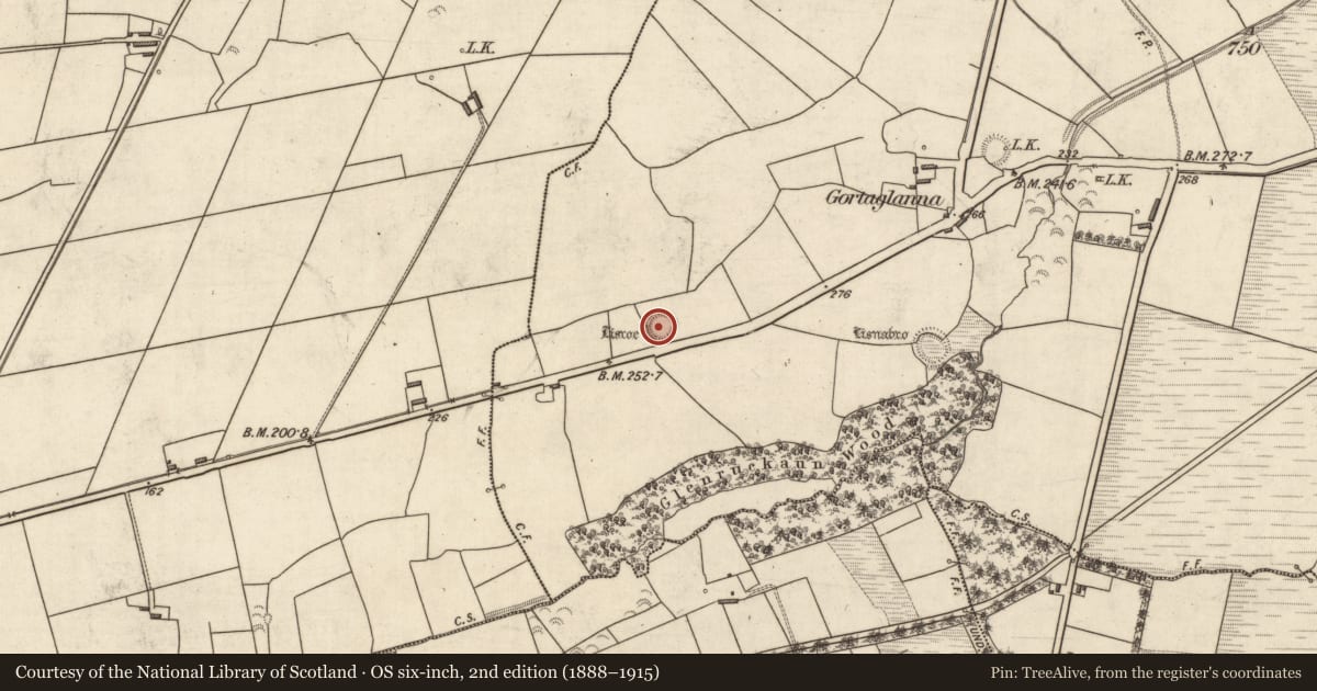 Ordnance Survey six-inch map, 2nd edition (1888–1915) covering the location of Ringfort - rath, Lissaniska, County Kerry, with a pin at the register's coordinates