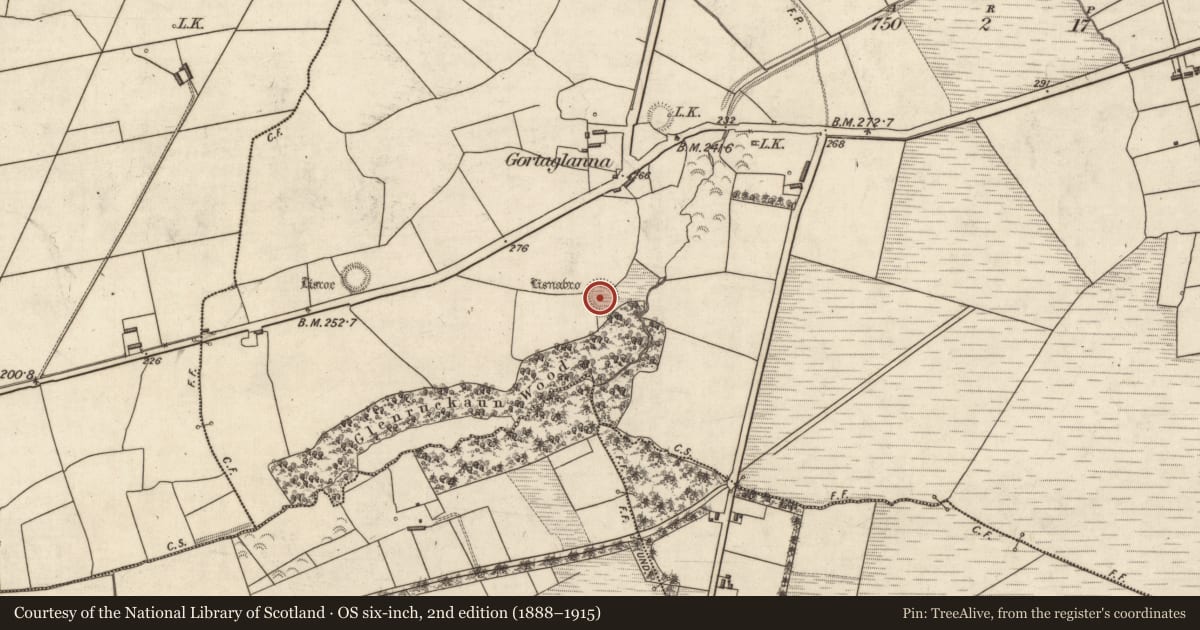 Ordnance Survey six-inch map, 2nd edition (1888–1915) covering the location of Ringfort - rath, Lissaniska, County Kerry, with a pin at the register's coordinates