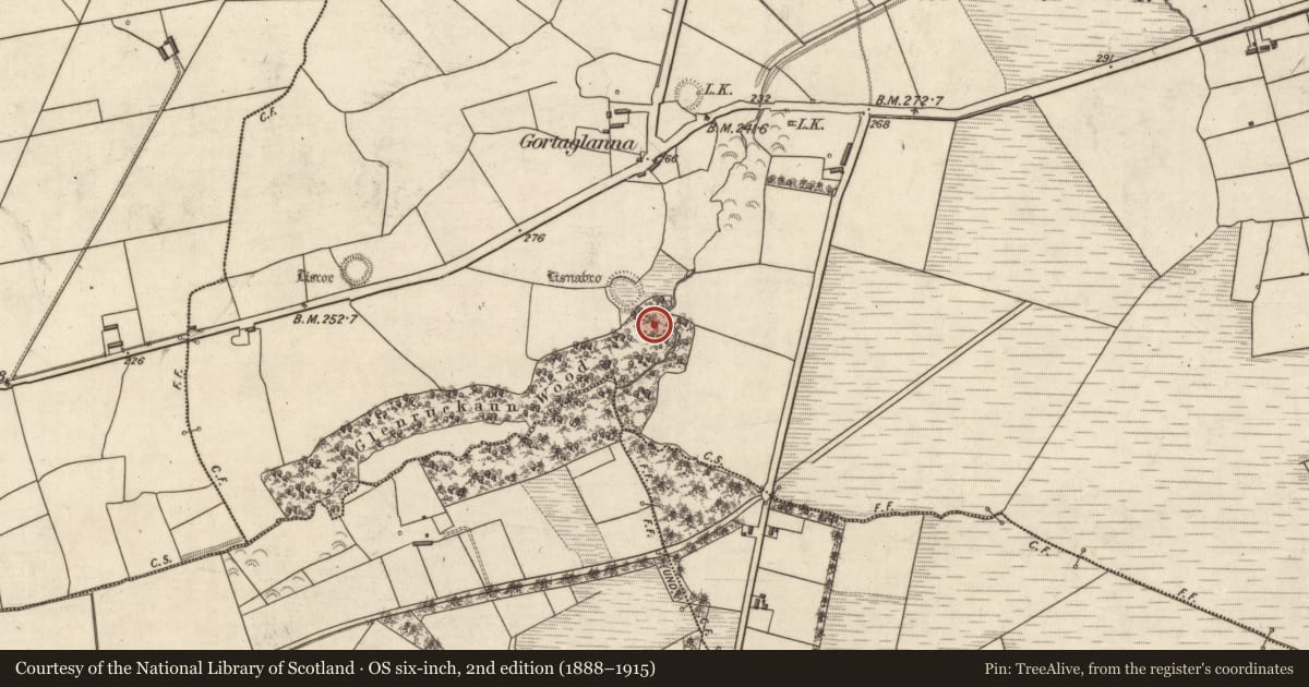 Ordnance Survey six-inch map, 2nd edition (1888–1915) covering the location of Ringfort - rath, Lissaniska, County Kerry, with a pin at the register's coordinates