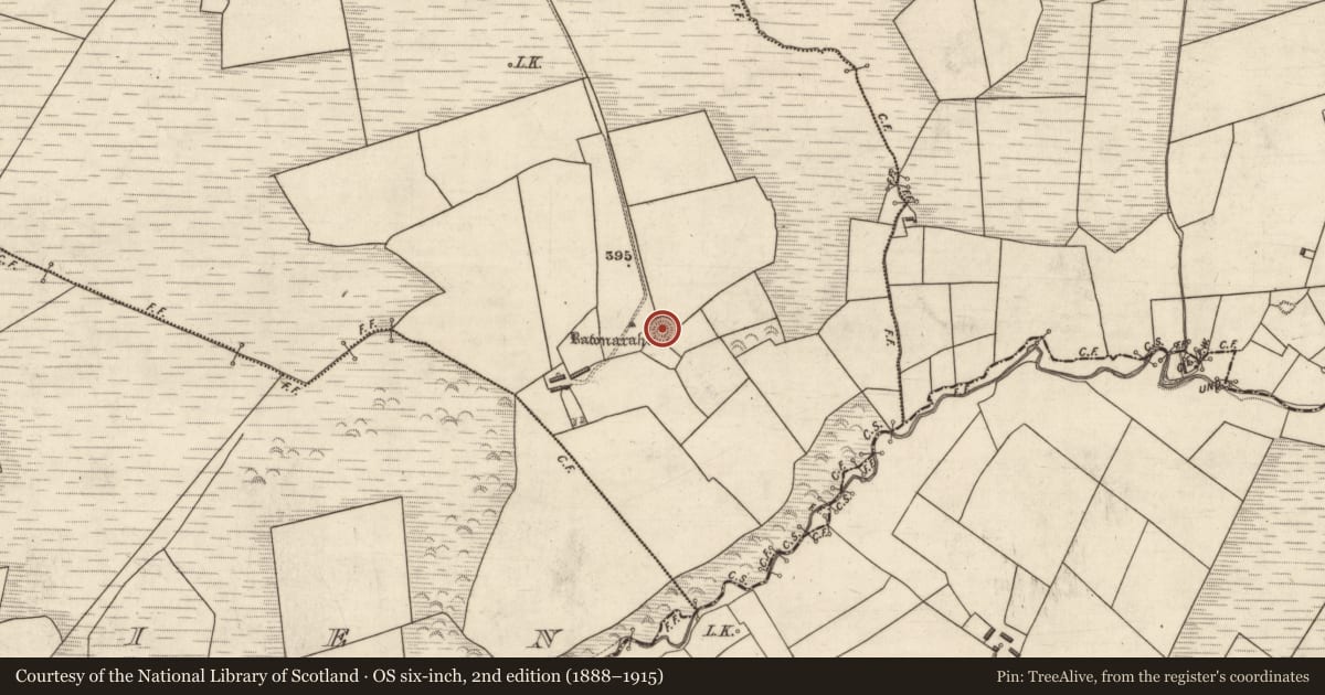 Ordnance Survey six-inch map, 2nd edition (1888–1915) covering the location of Ringfort - rath, Lissaniska, County Kerry, with a pin at the register's coordinates