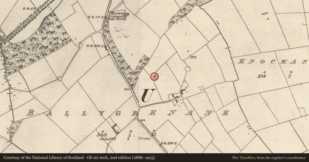 Ordnance Survey six-inch map, 2nd edition (1888–1915) covering the location of Ringfort - rath, Ballygrenane, County Kerry, with a pin at the register's coordinates