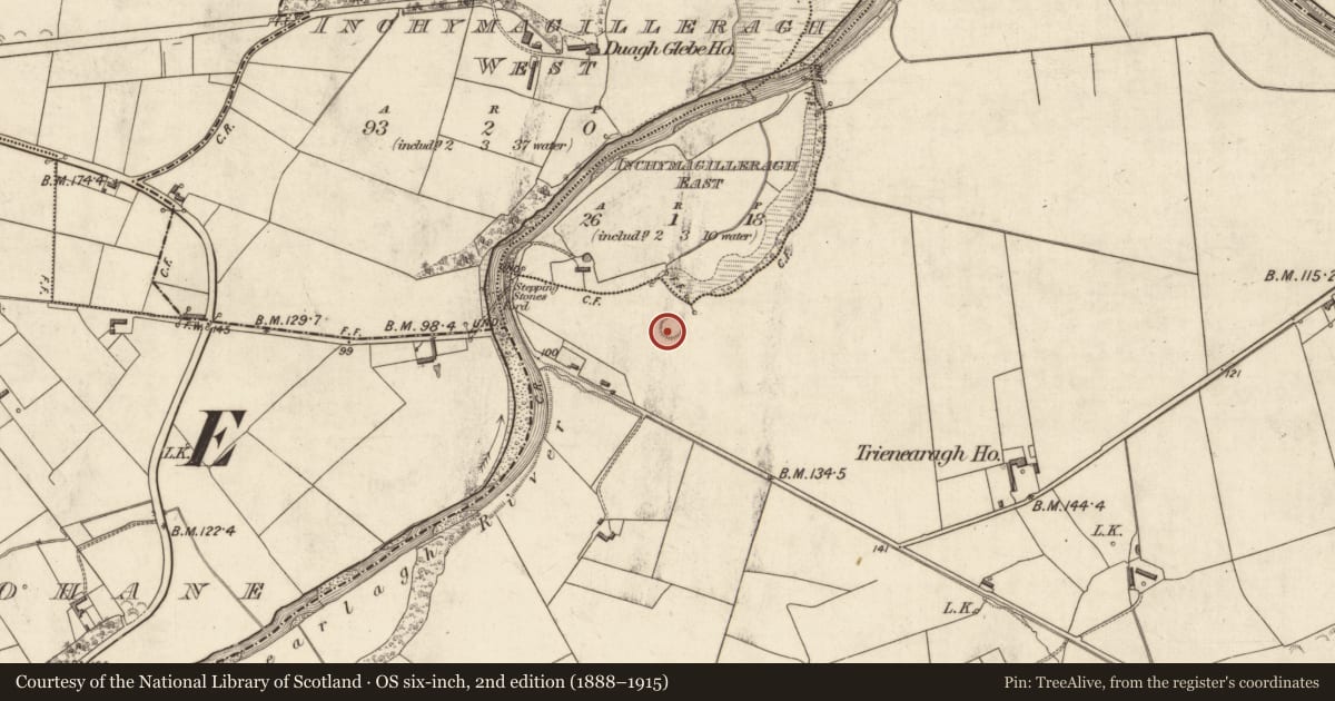 Ordnance Survey six-inch map, 2nd edition (1888–1915) covering the location of Ringfort - rath, Trienearagh, County Kerry, with a pin at the register's coordinates