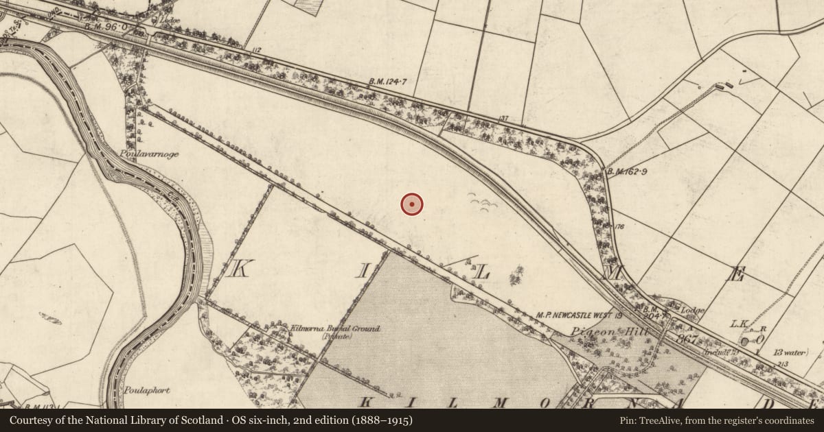 Ordnance Survey six-inch map, 2nd edition (1888–1915) covering the location of Ringfort - rath, Kilmeany, County Kerry, with a pin at the register's coordinates