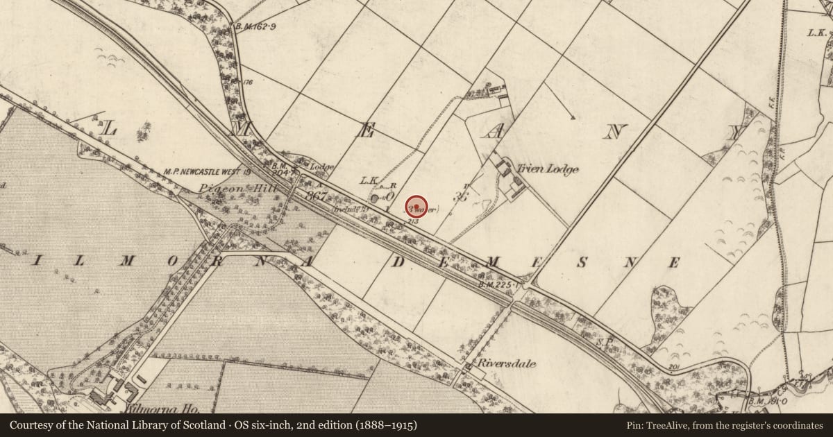 Ordnance Survey six-inch map, 2nd edition (1888–1915) covering the location of Fulacht fia, Kilmeany, County Kerry, with a pin at the register's coordinates