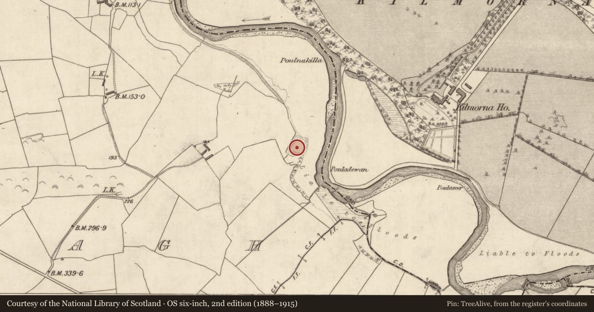 Ordnance Survey six-inch map, 2nd edition (1888–1915) covering the location of Moated site, Trienearagh, County Kerry, with a pin at the register's coordinates