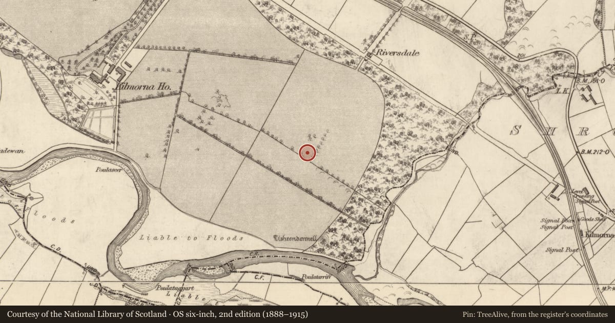 Ordnance Survey six-inch map, 2nd edition (1888–1915) covering the location of Ringfort - rath, Kilmeany, County Kerry, with a pin at the register's coordinates