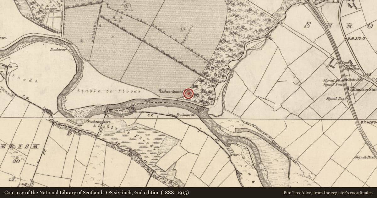 Ordnance Survey six-inch map, 2nd edition (1888–1915) covering the location of Ringfort - rath, Kilmeany, County Kerry, with a pin at the register's coordinates