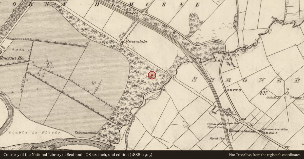 Ordnance Survey six-inch map, 2nd edition (1888–1915) covering the location of Ringfort - rath, Kilmeany, County Kerry, with a pin at the register's coordinates