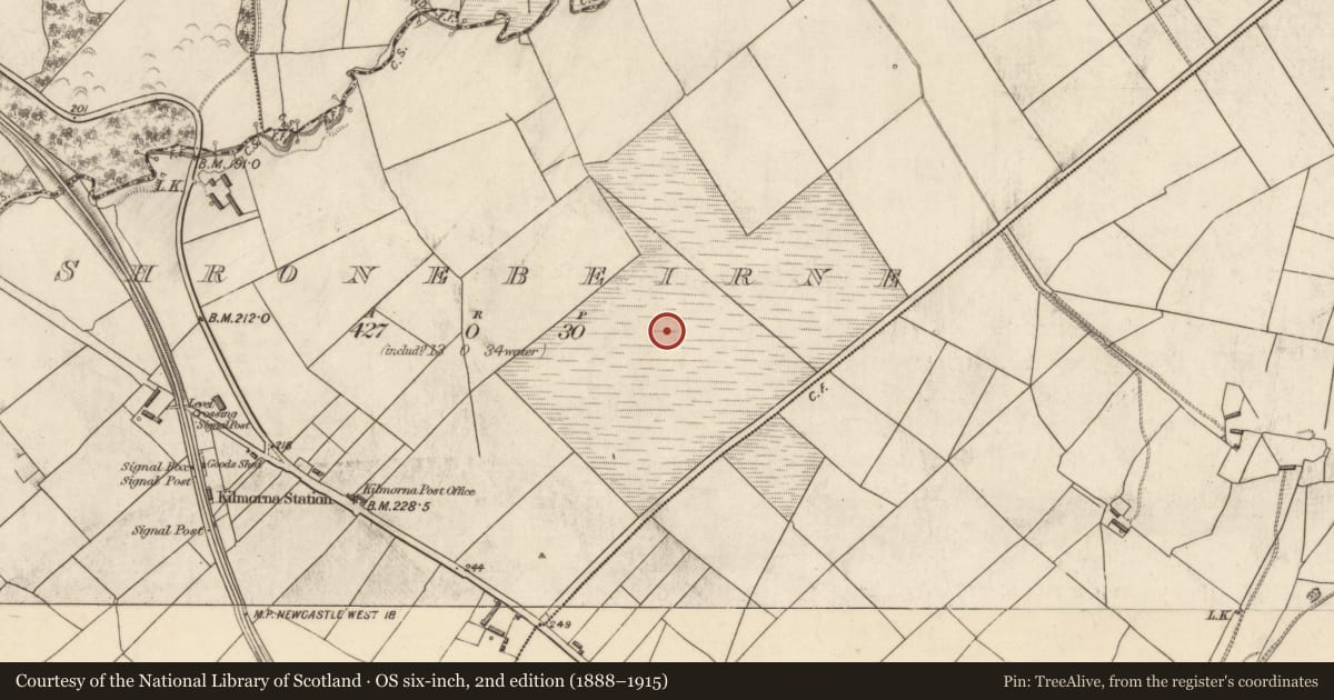 Ordnance Survey six-inch map, 2nd edition (1888–1915) covering the location of Barrow - ring-barrow, Shronebeirne, County Kerry, with a pin at the register's coordinates