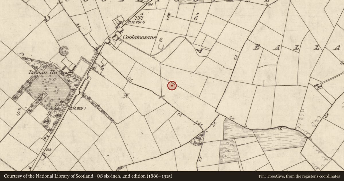 Ordnance Survey six-inch map, 2nd edition (1888–1915) covering the location of Fulacht fia, Coolatoosane, County Kerry, with a pin at the register's coordinates