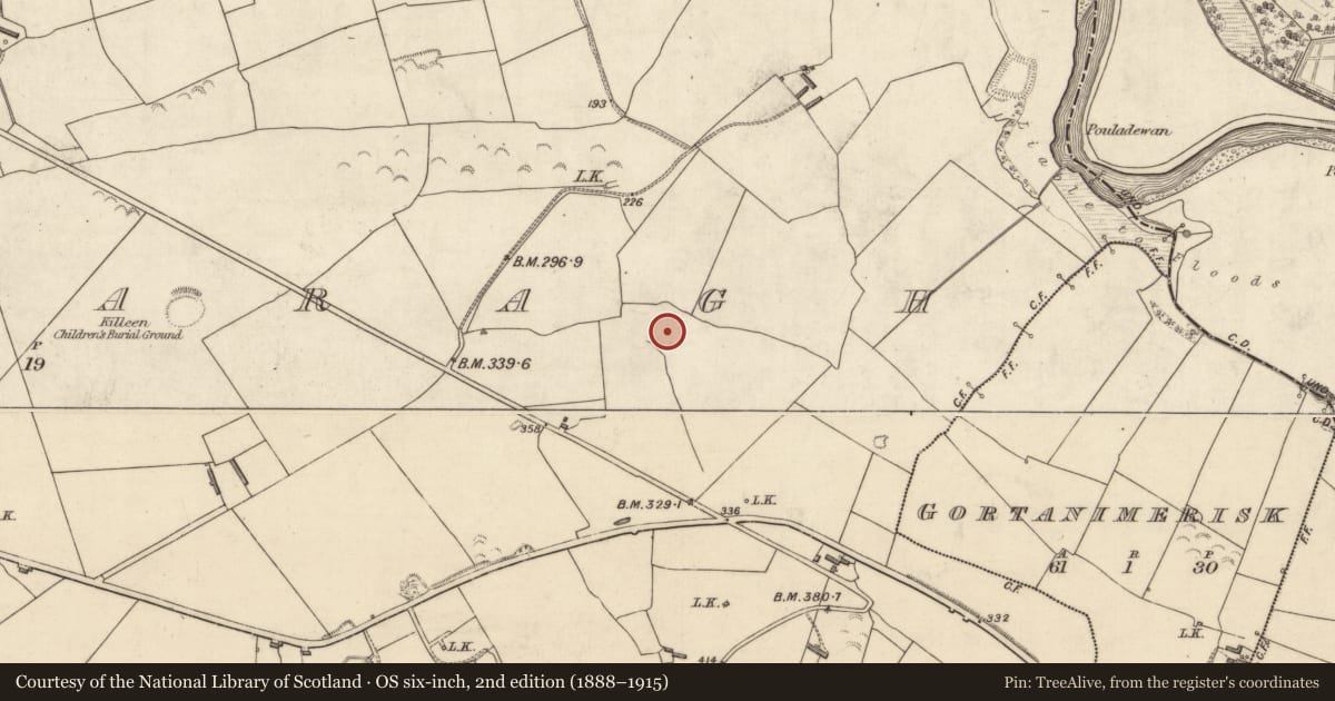 Ordnance Survey six-inch map, 2nd edition (1888–1915) covering the location of Fulacht fia, Trienearagh, County Kerry, with a pin at the register's coordinates