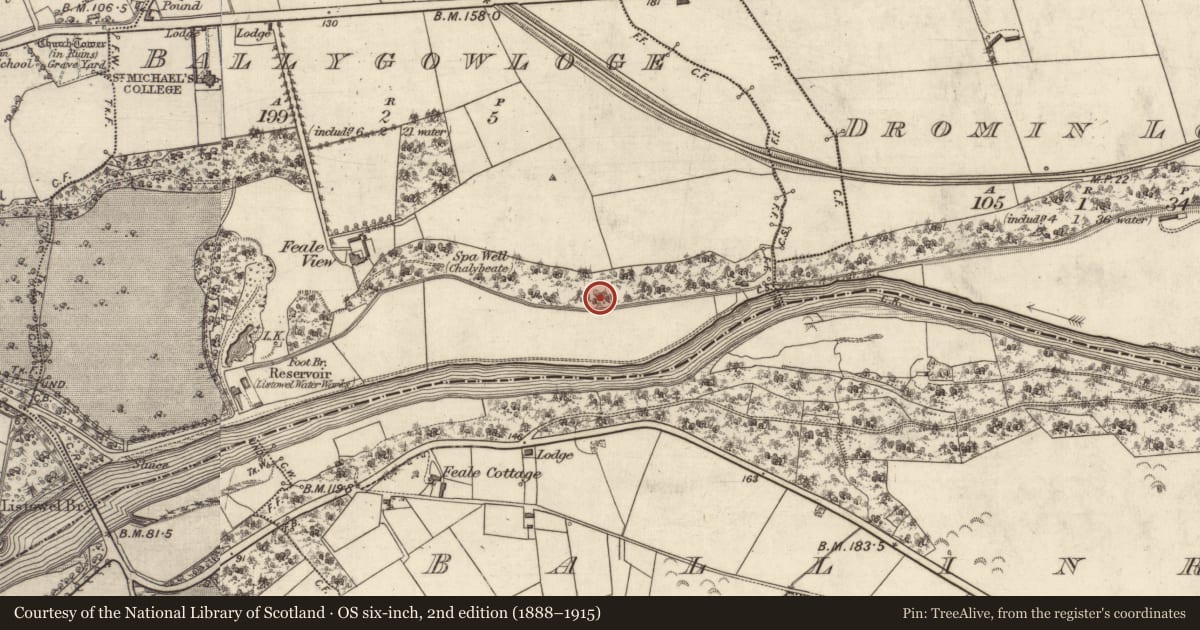 Ordnance Survey six-inch map, 2nd edition (1888–1915) covering the location of Fulacht fia, Ballygowloge, County Kerry, with a pin at the register's coordinates