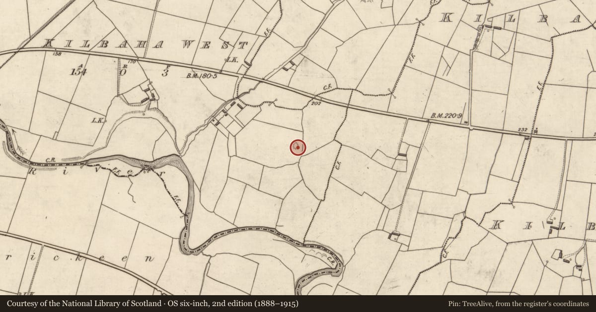 Ordnance Survey six-inch map, 2nd edition (1888–1915) covering the location of Enclosure, Kilbaha West, County Kerry, with a pin at the register's coordinates
