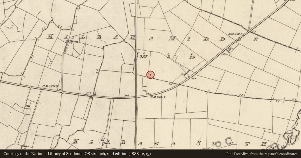 Ordnance Survey six-inch map, 2nd edition (1888–1915) covering the location of Children's burial ground, Kilbaha Middle, County Kerry, with a pin at the register's coordinates
