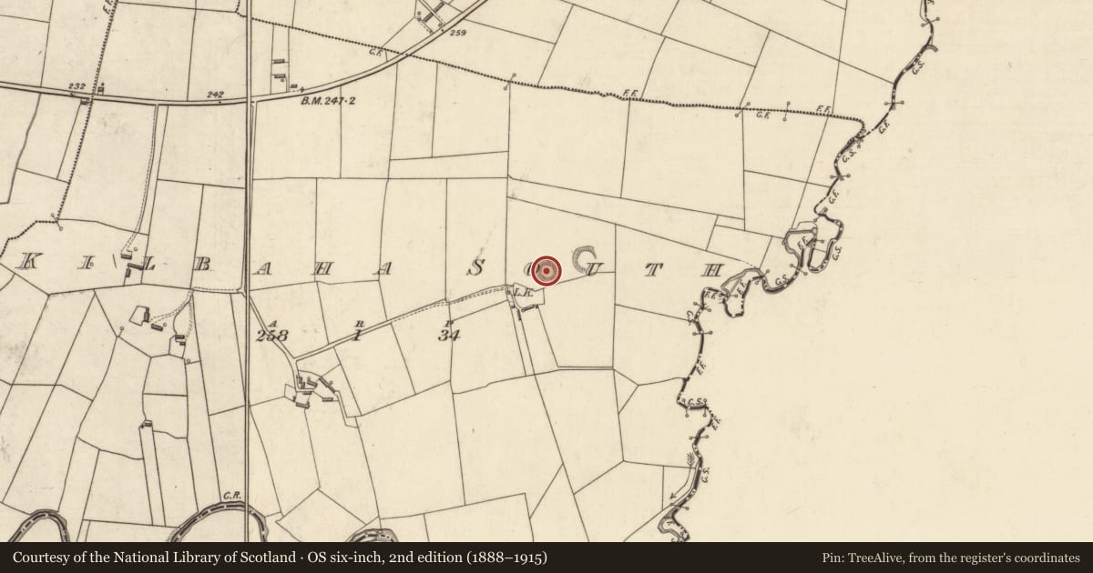 Ordnance Survey six-inch map, 2nd edition (1888–1915) covering the location of Ringfort - rath, Kilbaha South, County Kerry, with a pin at the register's coordinates