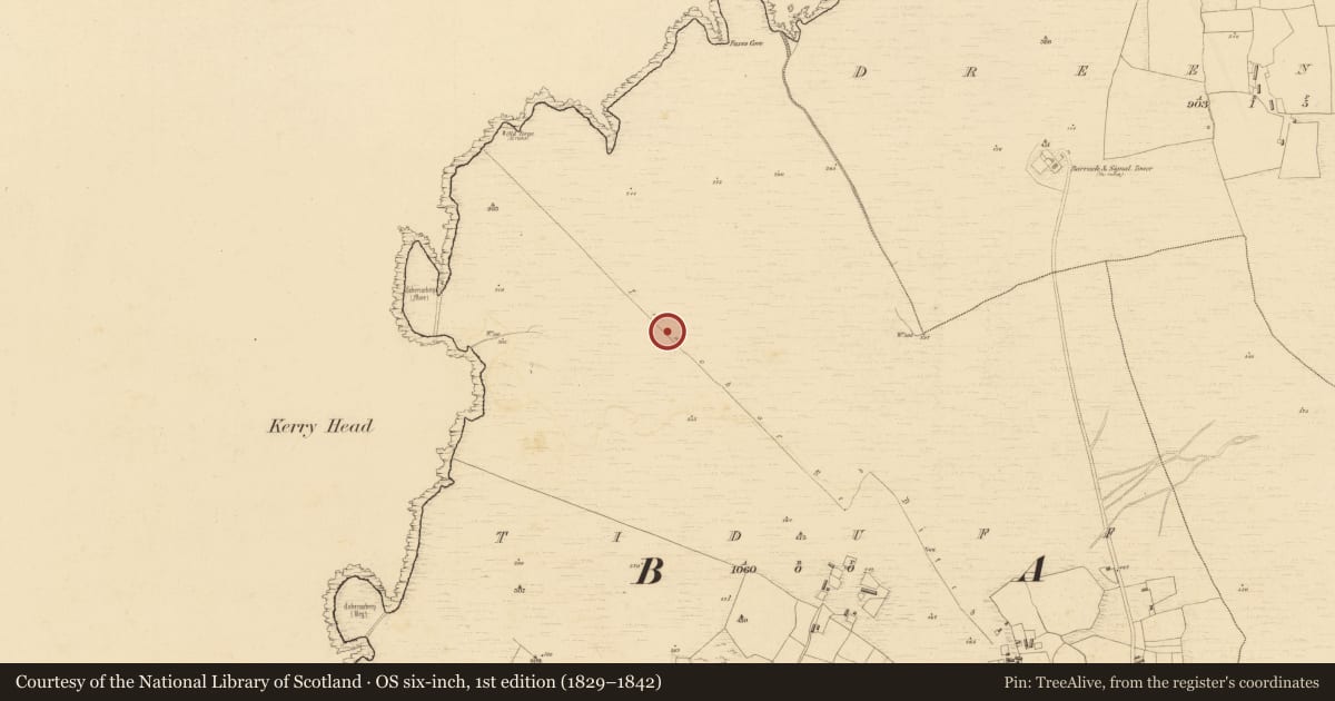 Ordnance Survey six-inch map, 1st edition (1829–1842) covering the location of Linear earthwork, Tiduff, County Kerry, with a pin at the register's coordinates