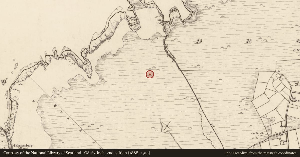 Ordnance Survey six-inch map, 2nd edition (1888–1915) covering the location of Field boundary, Tiduff, County Kerry, with a pin at the register's coordinates