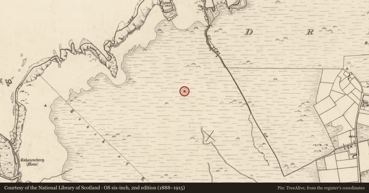 Ordnance Survey six-inch map, 2nd edition (1888–1915) covering the location of Hut site, Tiduff, County Kerry, with a pin at the register's coordinates
