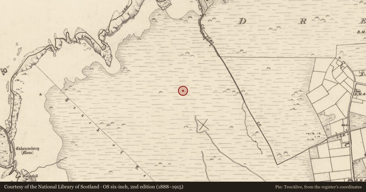 Ordnance Survey six-inch map, 2nd edition (1888–1915) covering the location of Hut site, Tiduff, County Kerry, with a pin at the register's coordinates