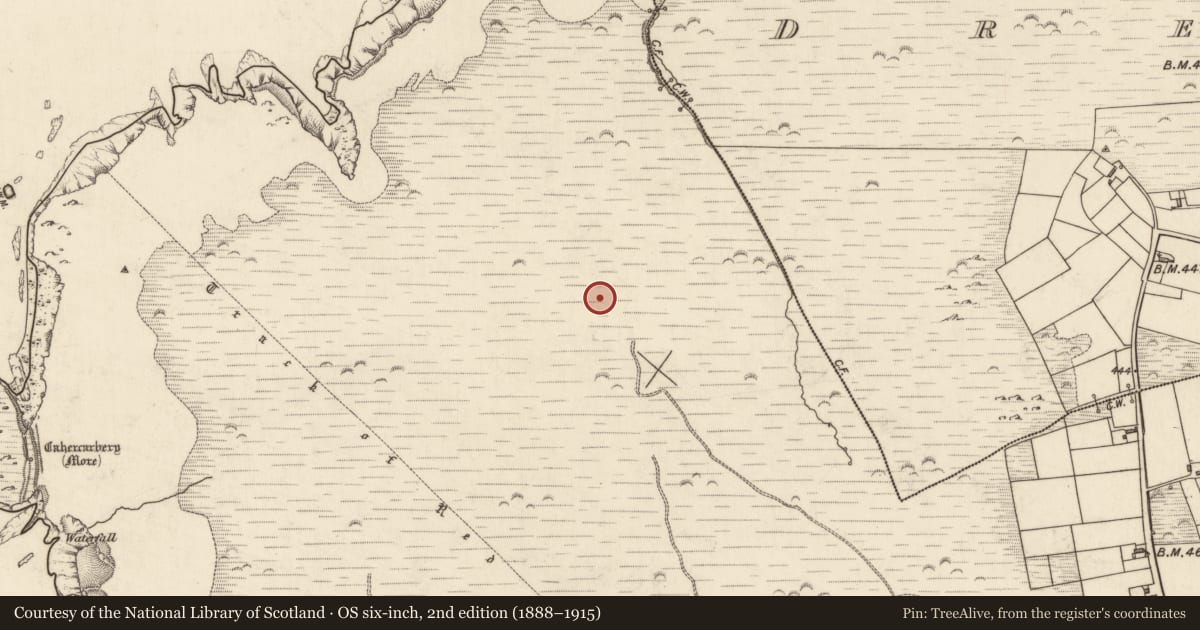 Ordnance Survey six-inch map, 2nd edition (1888–1915) covering the location of Hut site, Tiduff, County Kerry, with a pin at the register's coordinates