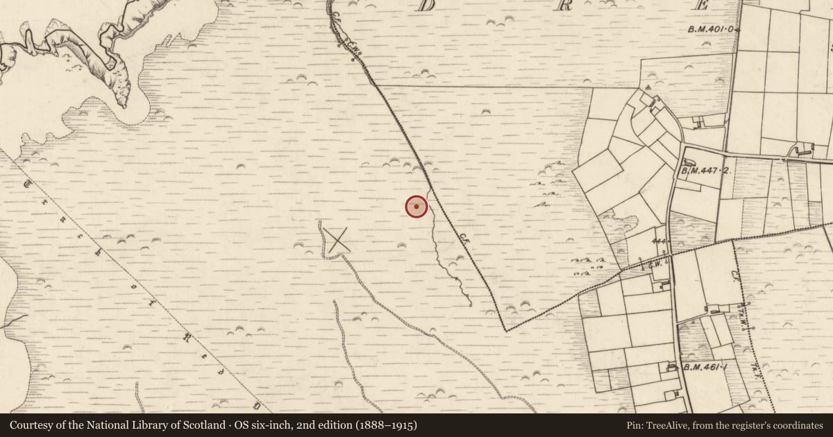 Ordnance Survey six-inch map, 2nd edition (1888–1915) covering the location of Standing stone, Tiduff, County Kerry, with a pin at the register's coordinates