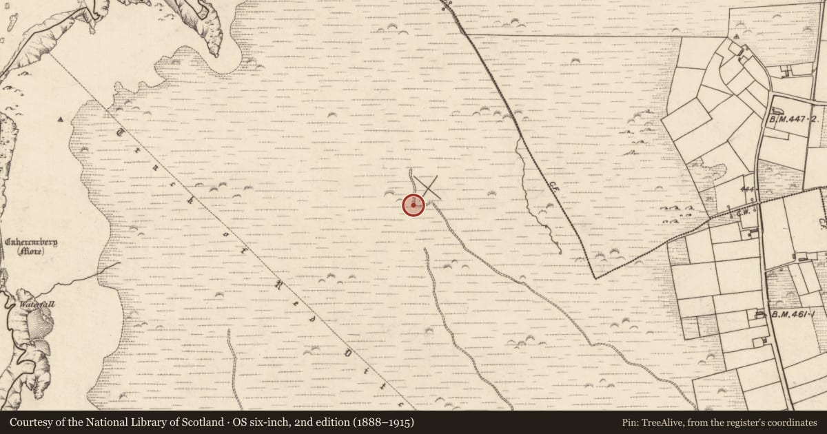 Ordnance Survey six-inch map, 2nd edition (1888–1915) covering the location of Standing stone, Tiduff, County Kerry, with a pin at the register's coordinates